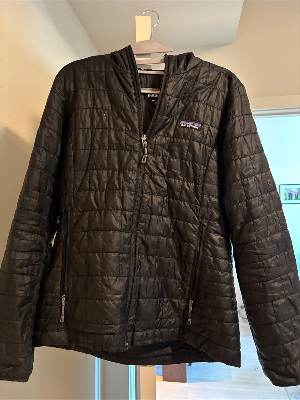 Patagonia Black Quilted Hooded Jacket